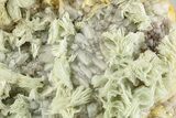 Green, Bladed Prehnite Crystals with Quartz - Morocco #255507-1